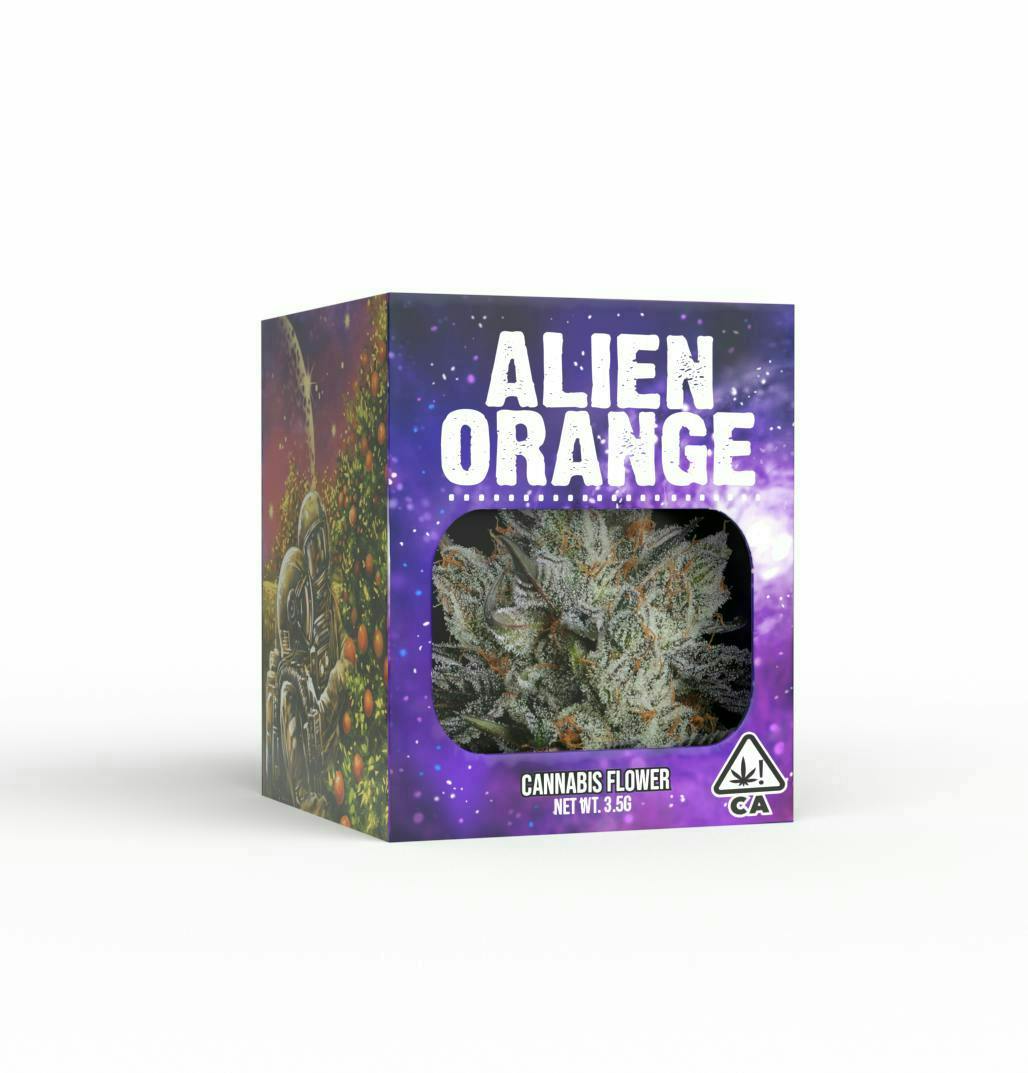 Decibel Gardens: Alien Orange