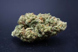 B.O.B. Stash | White Truffle | 1/2 Ounce/14Grams