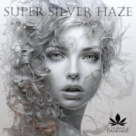 Super Silver Haze