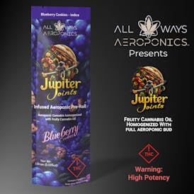 1g Jupiter Joint | Infused Aeroponic Preroll | Blueberry Cookies