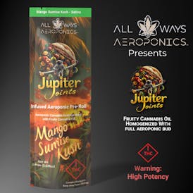 1g Jupiter Joint | Infused Aeroponic Pre-Roll | Mango Sunrise Kush