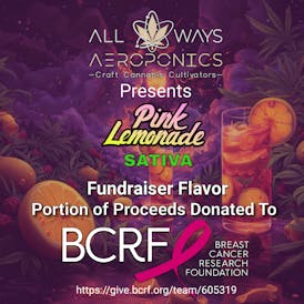 1g Pink Lemonade Lunar Lux Moon Rock | benefits Breast Cancer Research