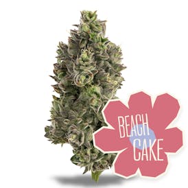Beach Cake Flower 3.5g