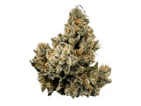 Gorilla Cheese