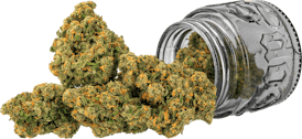 Jack | 3.5g