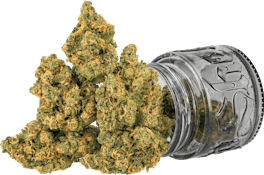 Blue Dream | 3.5g | Top Shelf Cultivation