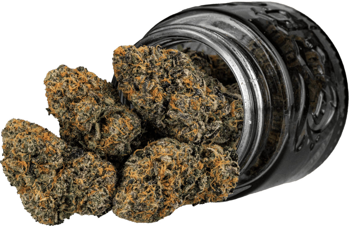 Speaker Knockerz | 3.5g - Top Shelf Cultivation