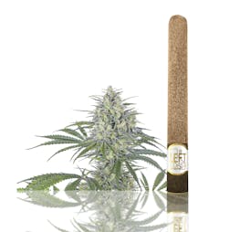 Premium Blunt Roll 2.2 Grams - Orange Creamsicle