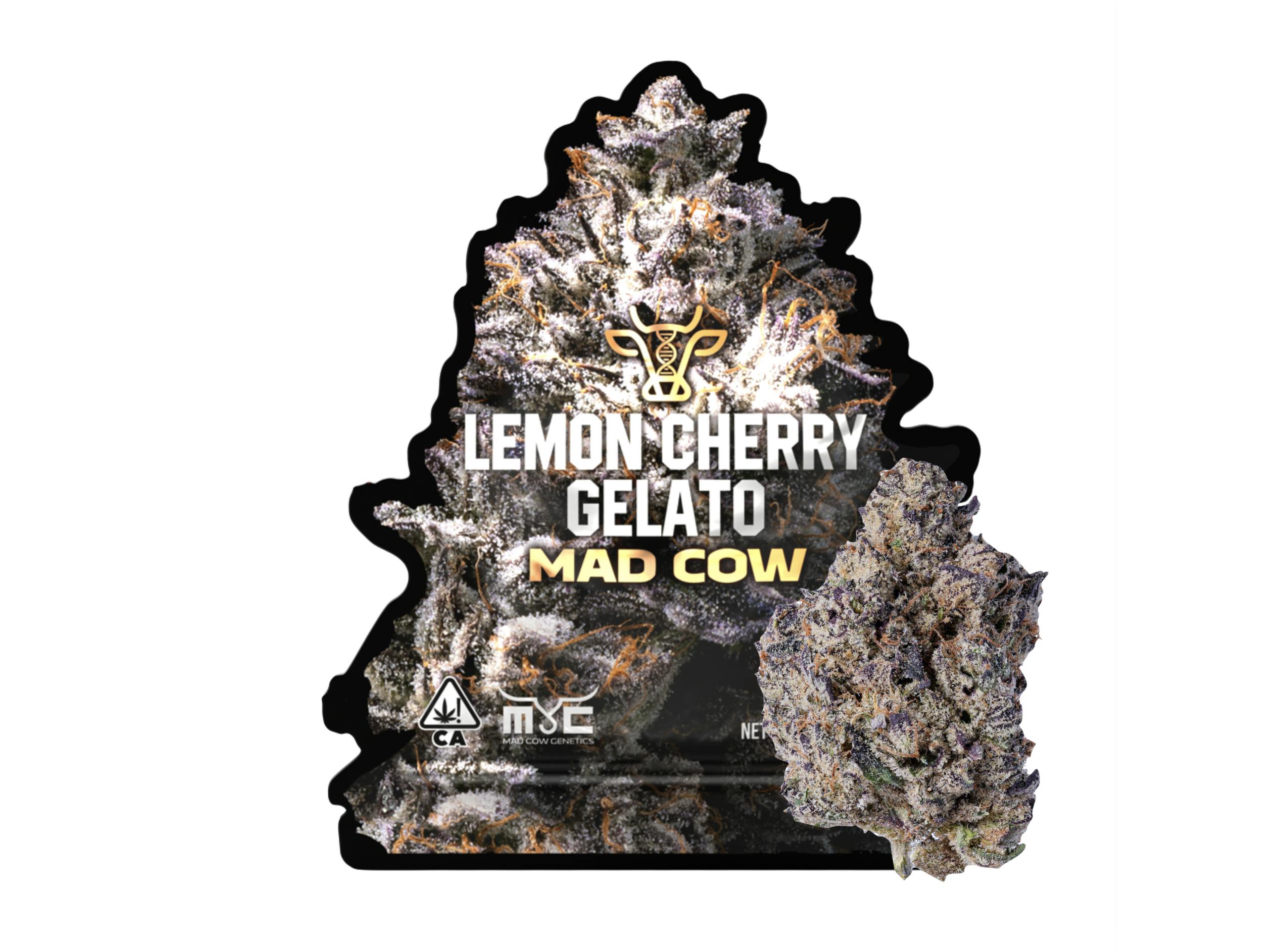 Lemon cherry Gelato 3.5g - Mad Cow