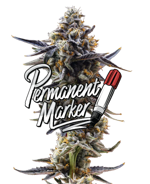 Jeeter Permanent Marker · Red Label Big Buds · 4g, Flower