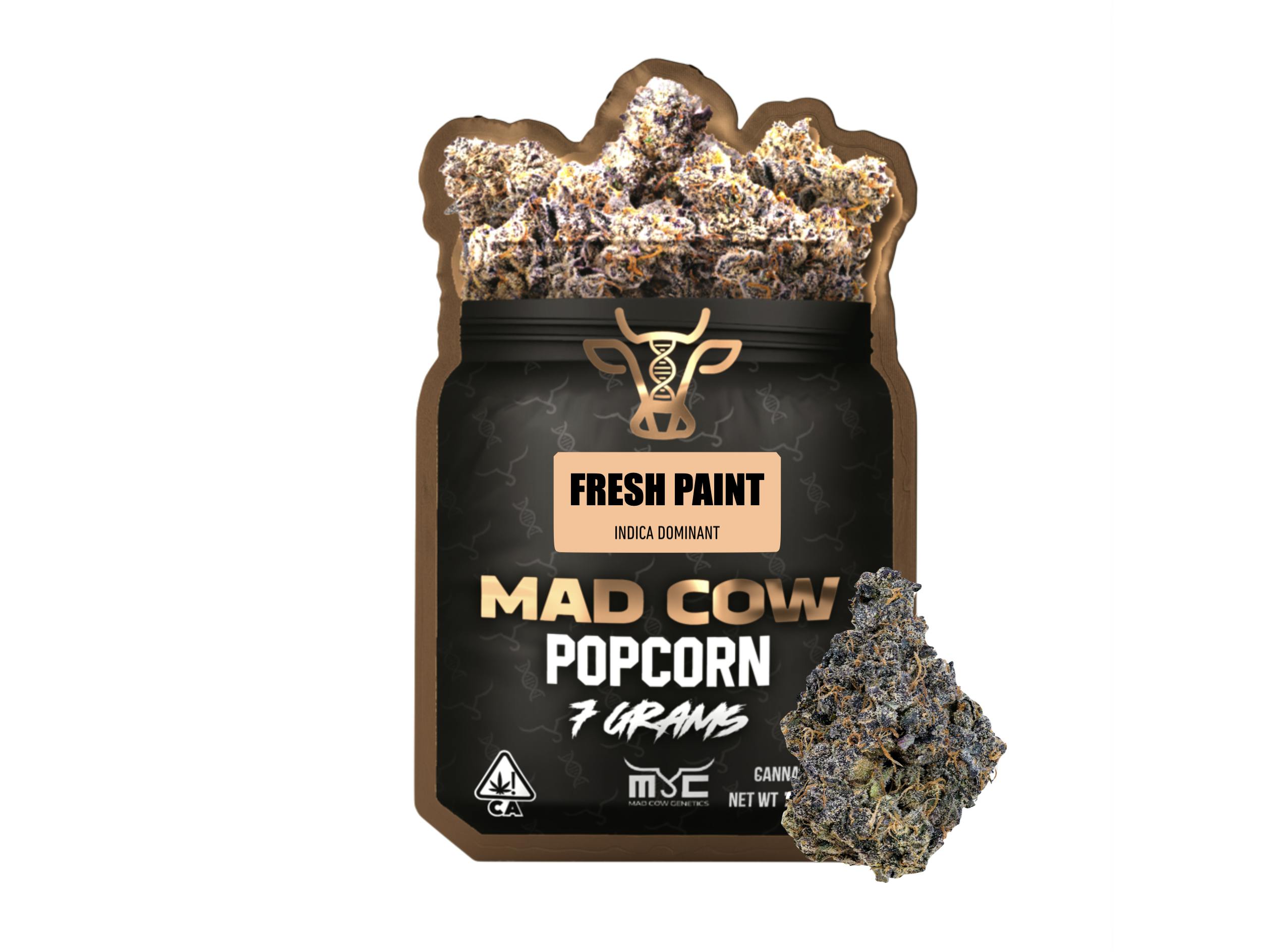 Fresh Paint Popcorn 7g