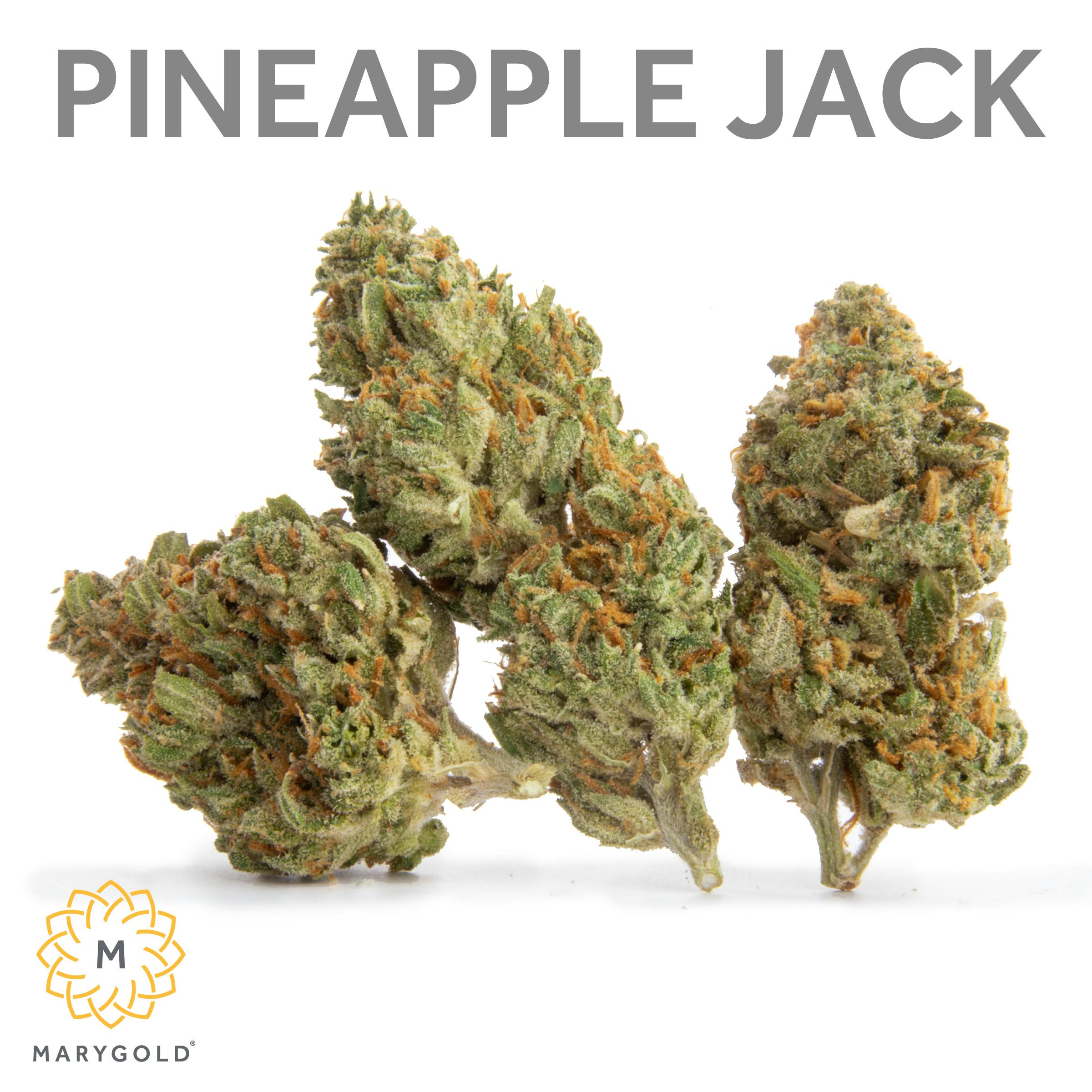 Marygold Pineapple Jack 3.5g INDOOR (24 THC Sativa) Weedmaps