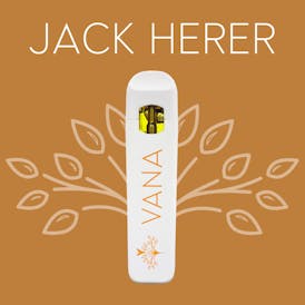 Jack Herer - 1 Gram Disposable