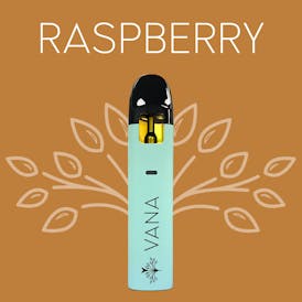 Raspberry - 2 Gram Disposable