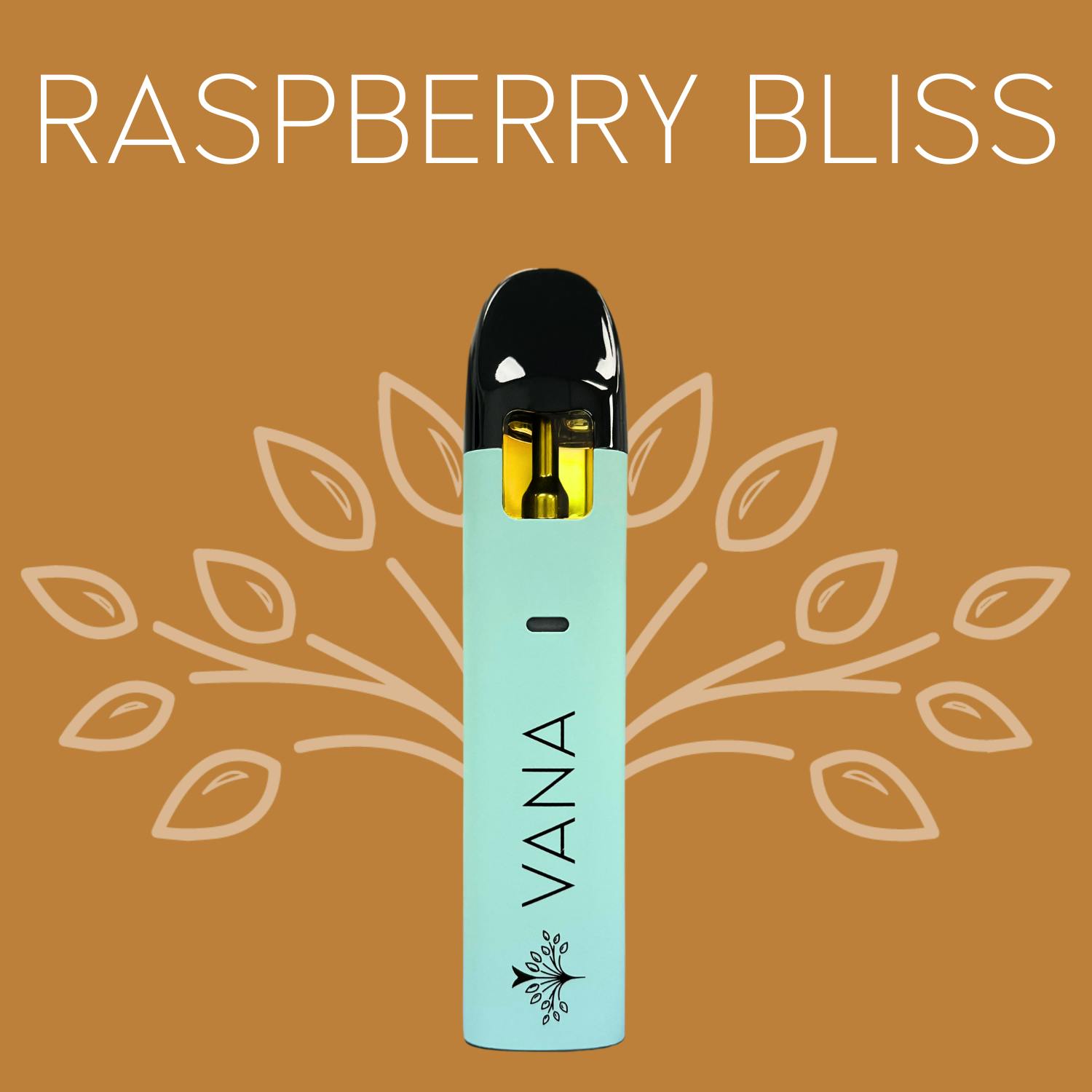 Raspberry Bliss Gram Disposable