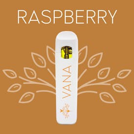 Raspberry - 1 Gram Disposable