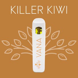 Killer Kiwi - 1 Gram Disposable