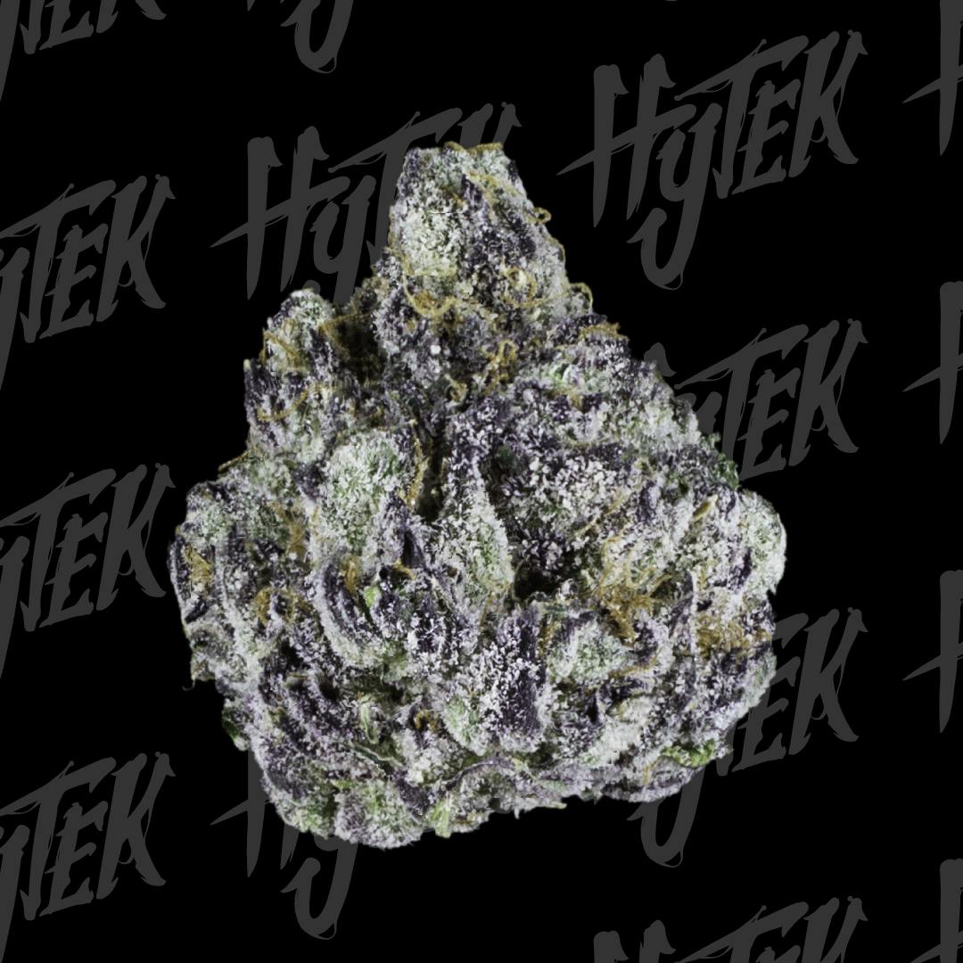 HYTEK | RUNTZ | BULK DELI FLOWER