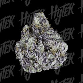 HYTEK | RUNTZ | BULK DELI FLOWER