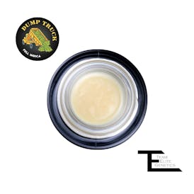 Dump Truck Cold Cure Live Rosin Badder
