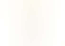 Cartel Oil Co | Live Resin Badder | White Guava | 1g