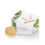 Wyld: Grapefruit 1:1:1 CBG:CBC Gummies
