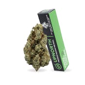 GMO (I) | 1g Preroll | UpNorth