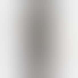 Burly Botanicals | Platinum Scout #19 | .5g Disposable Hash Vape