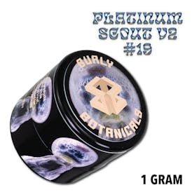 Burly Botanicals | Platinum Scout #19 | 1g Hash Rosin