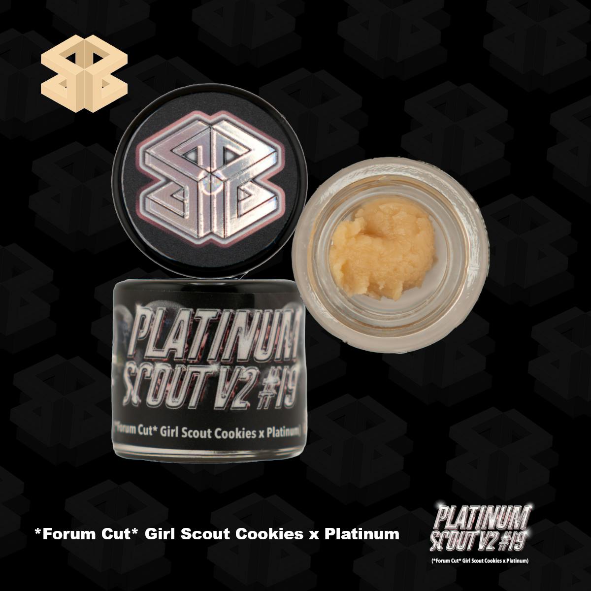 Burly Botanicals | Platinum Scout #19 | 1g Hash Rosin