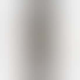 Burly Botanicals | Paw Paw #31 | .5g Disposable Hash Vape