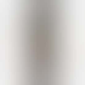 Burly Botanicals | Ground Beef #28 | .5g Disposable Hash Vape