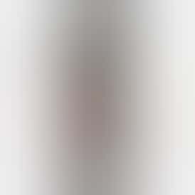 Burly Botanicals | Lipsmacker #4 | .5g Disposable Hash Vape