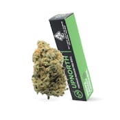 UPNORTH | RED CONGOLESE | PREROLL | 1G