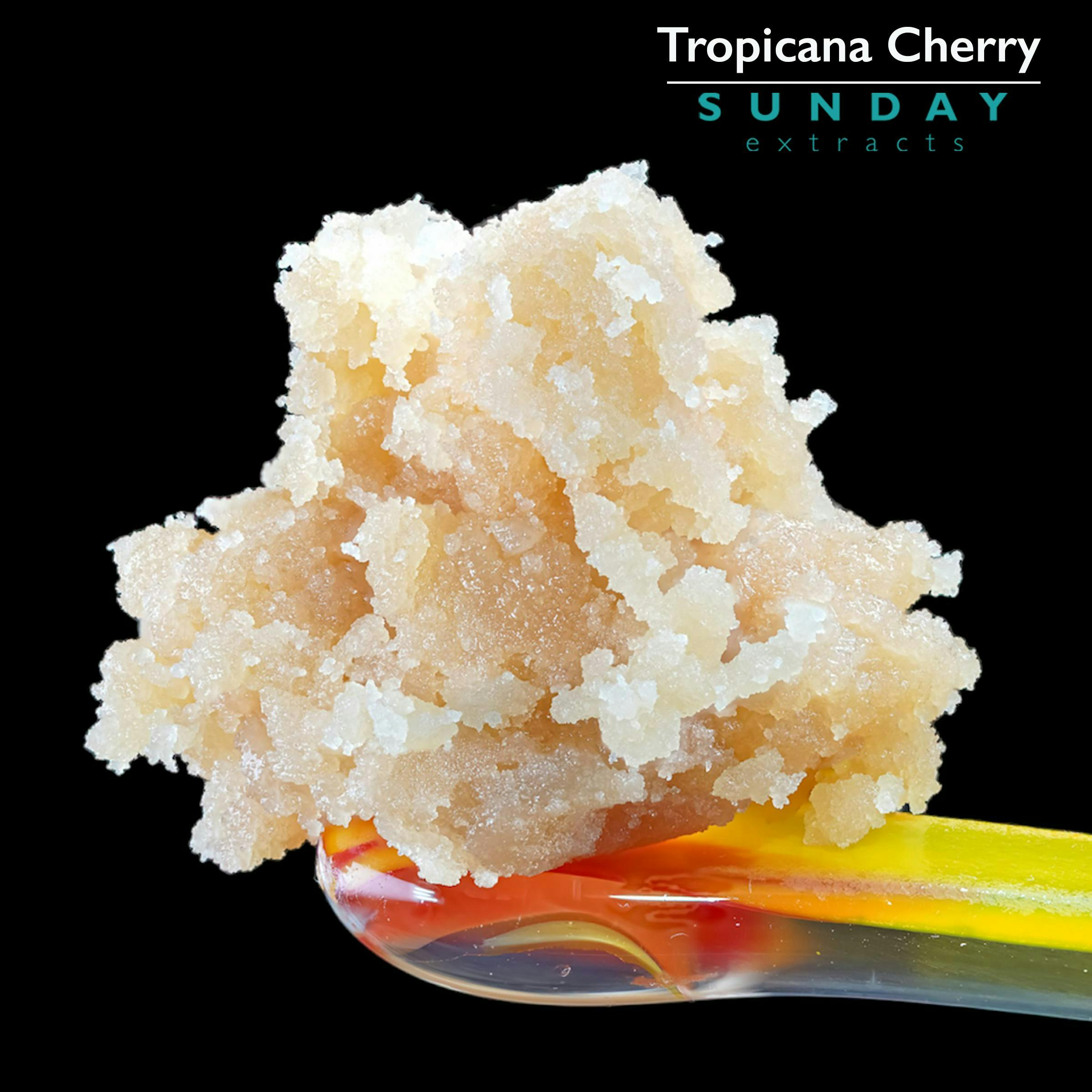 1g Concentrate Tropicana Cherry by Sunday Extracts