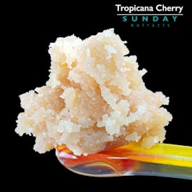 1g Concentrate Tropicana Cherry
