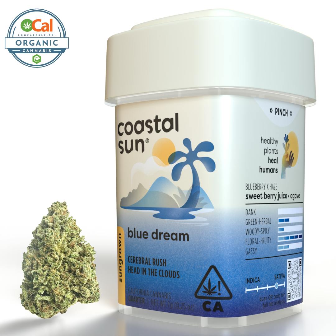 Coastal Sun — Blue Dream