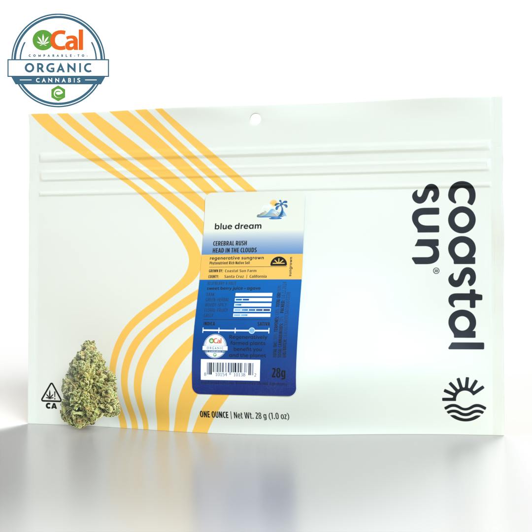 Coastal Sun — Blue Dream