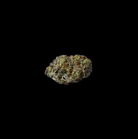 TItty Sprinkles | Bronze Tier Flower | Coastal Remedies
