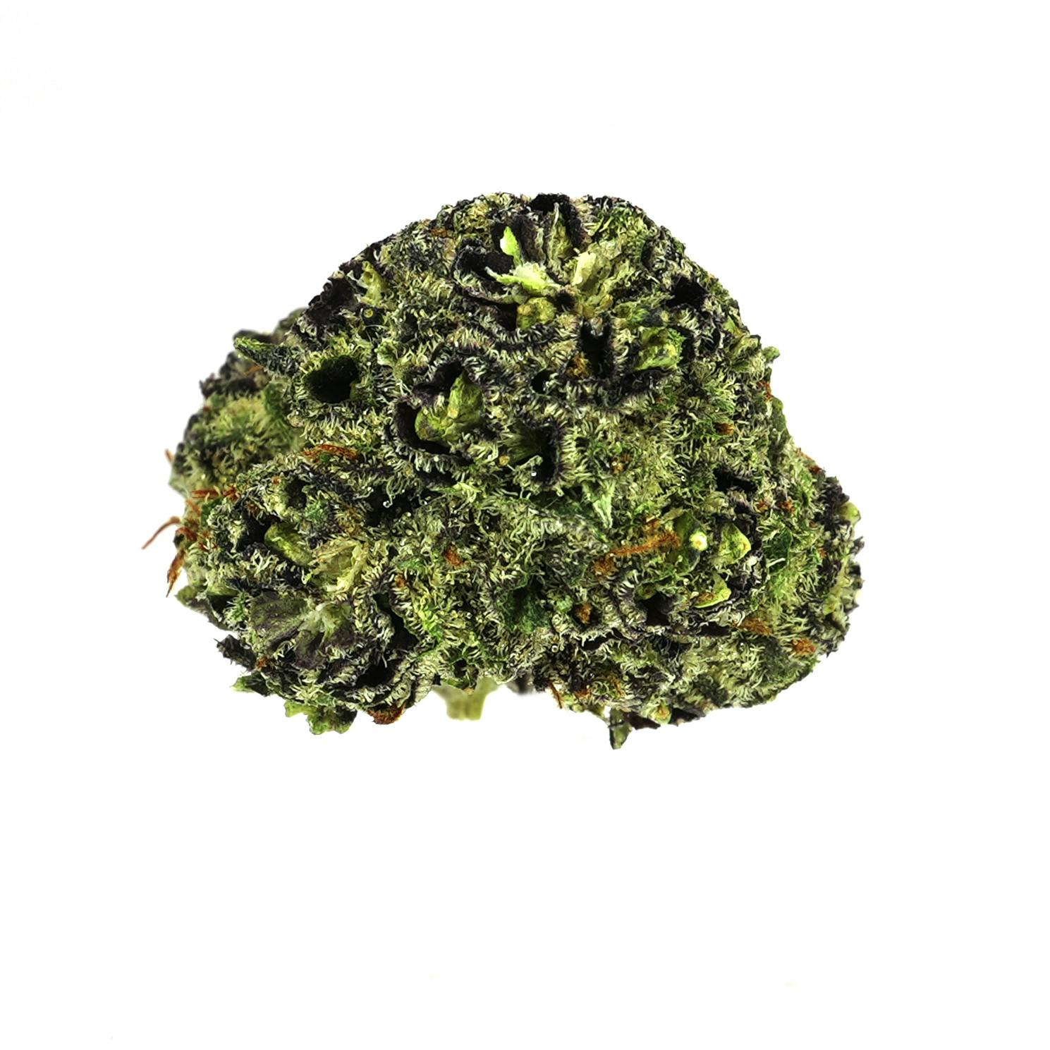 Purp - Prolific Growhouse