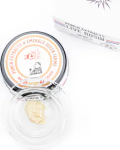 Punch Edibles & Extracts - Punch - Root Beer Tier 2 Live Rosin Cold Cure Badder (1g)