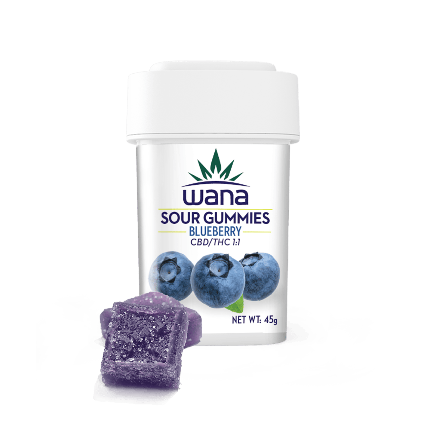 Blueberry 1:1 [10 pack]
