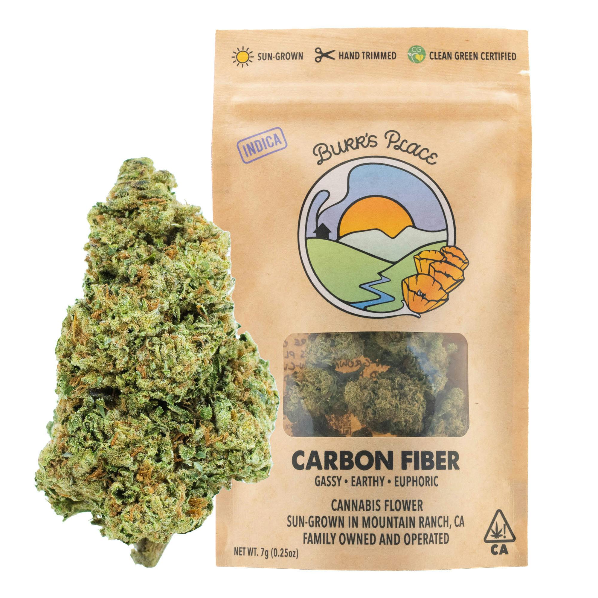 Burr's Place: Carbon Fiber