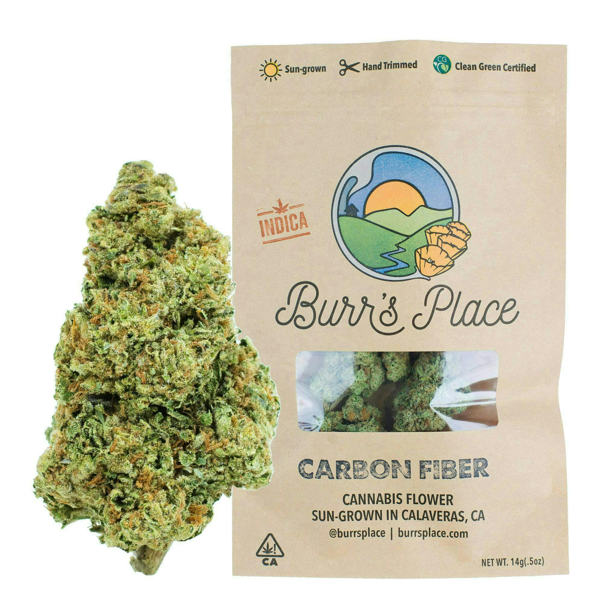 Burr's Place — Carbon Fiber