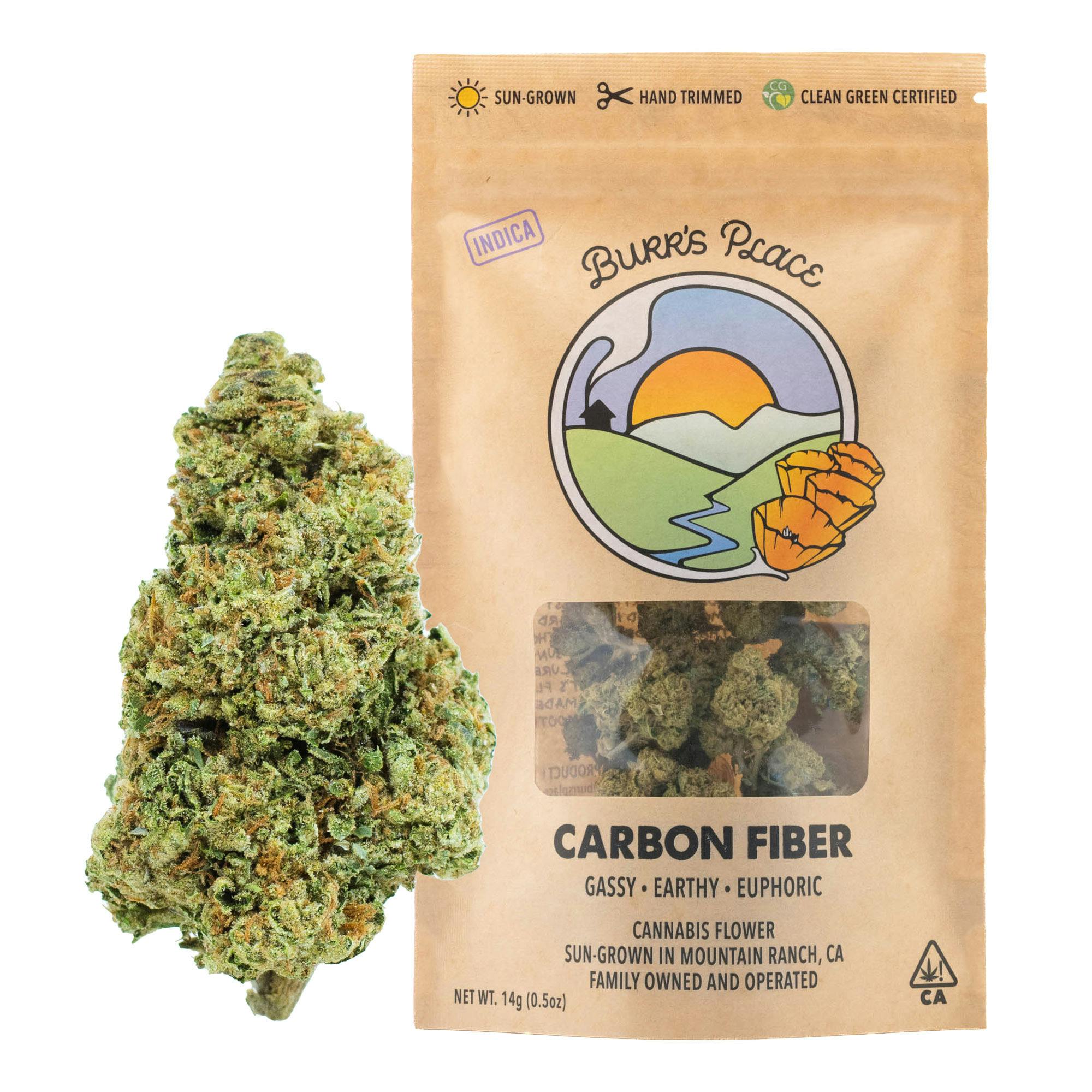 Burr's Place: Carbon Fiber