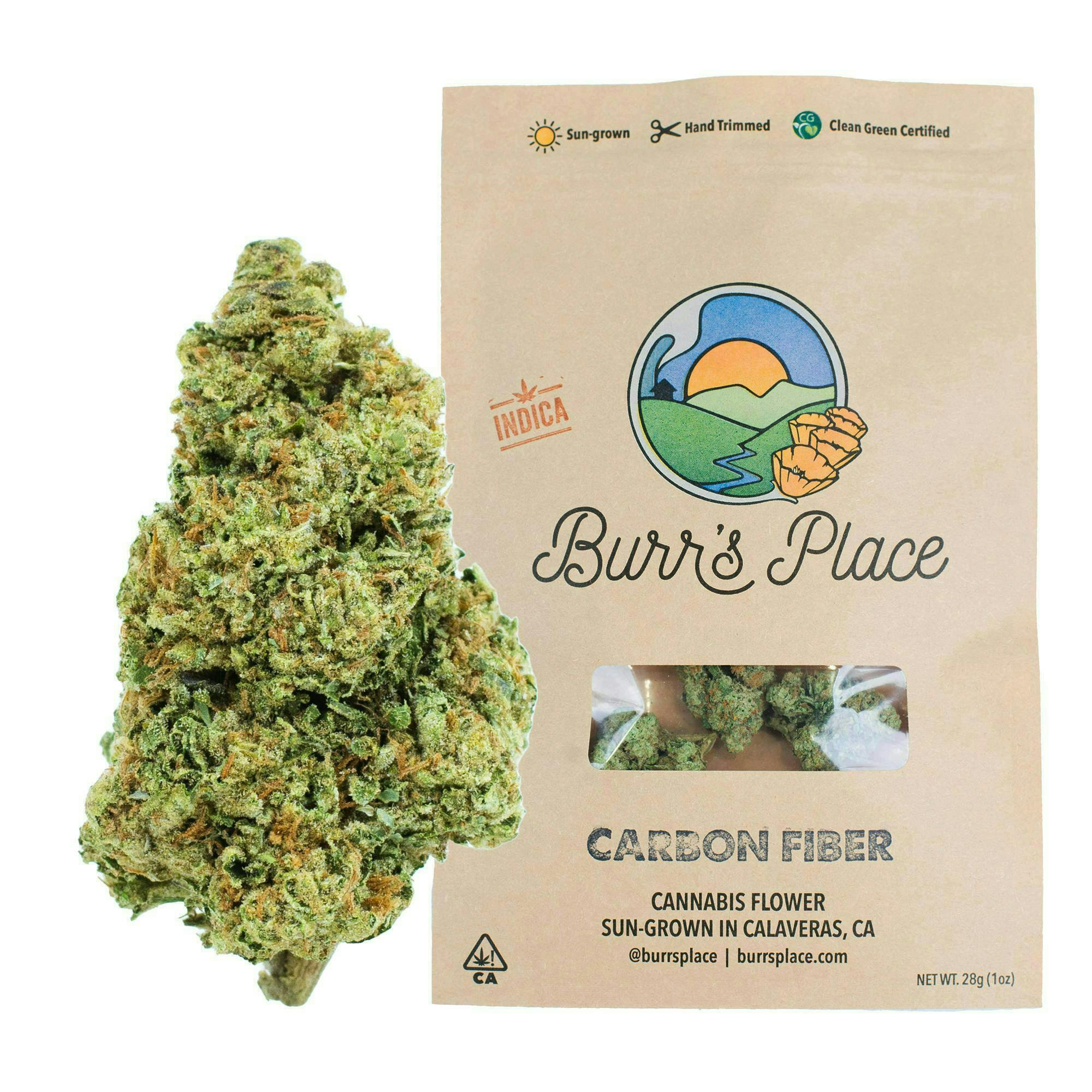 Carbon Fiber | Big Buds | 28g by Burr's Place