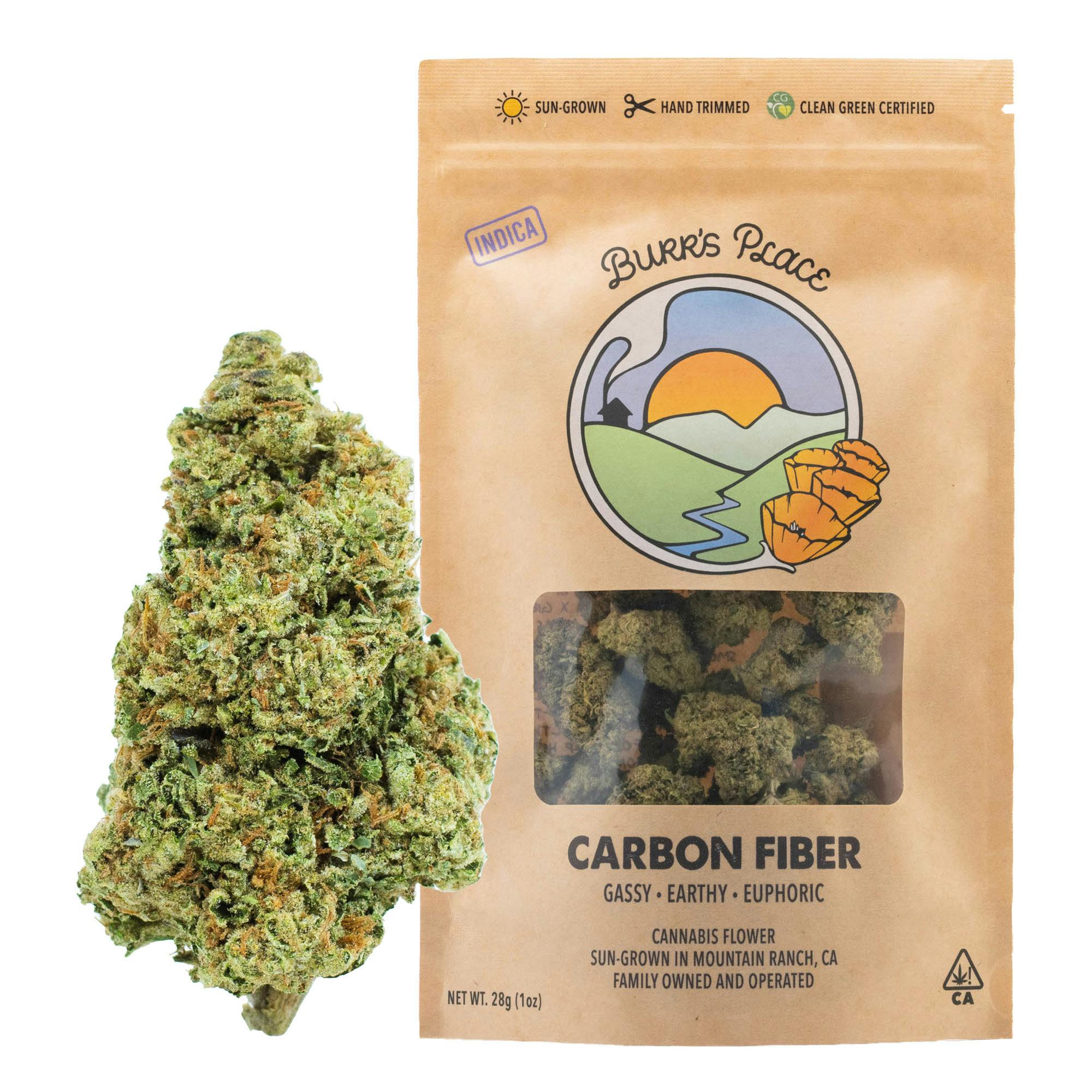 Burr's Place: Carbon Fiber