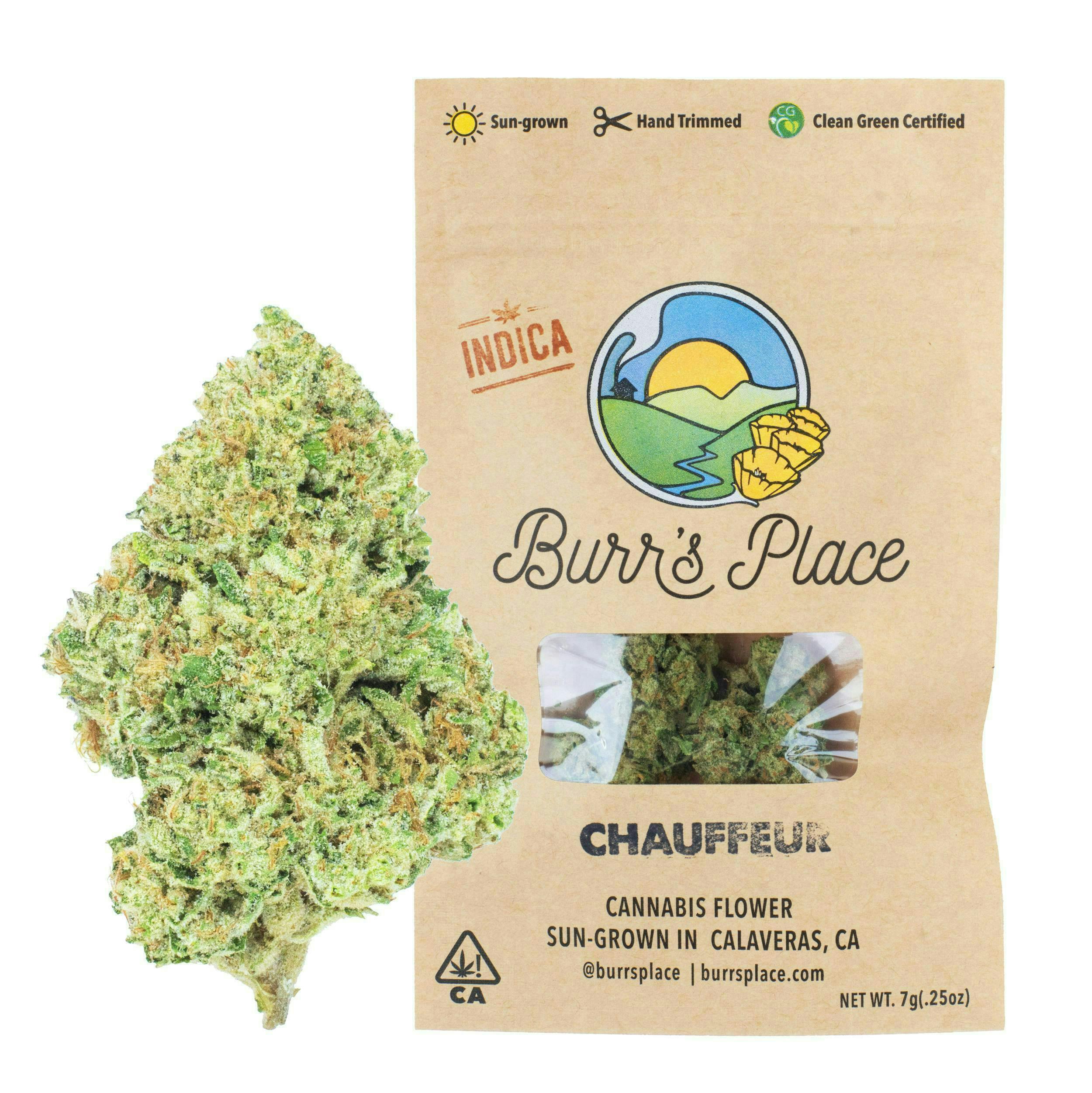 Burr's Place: Chauffeur - Big Buds - 7g