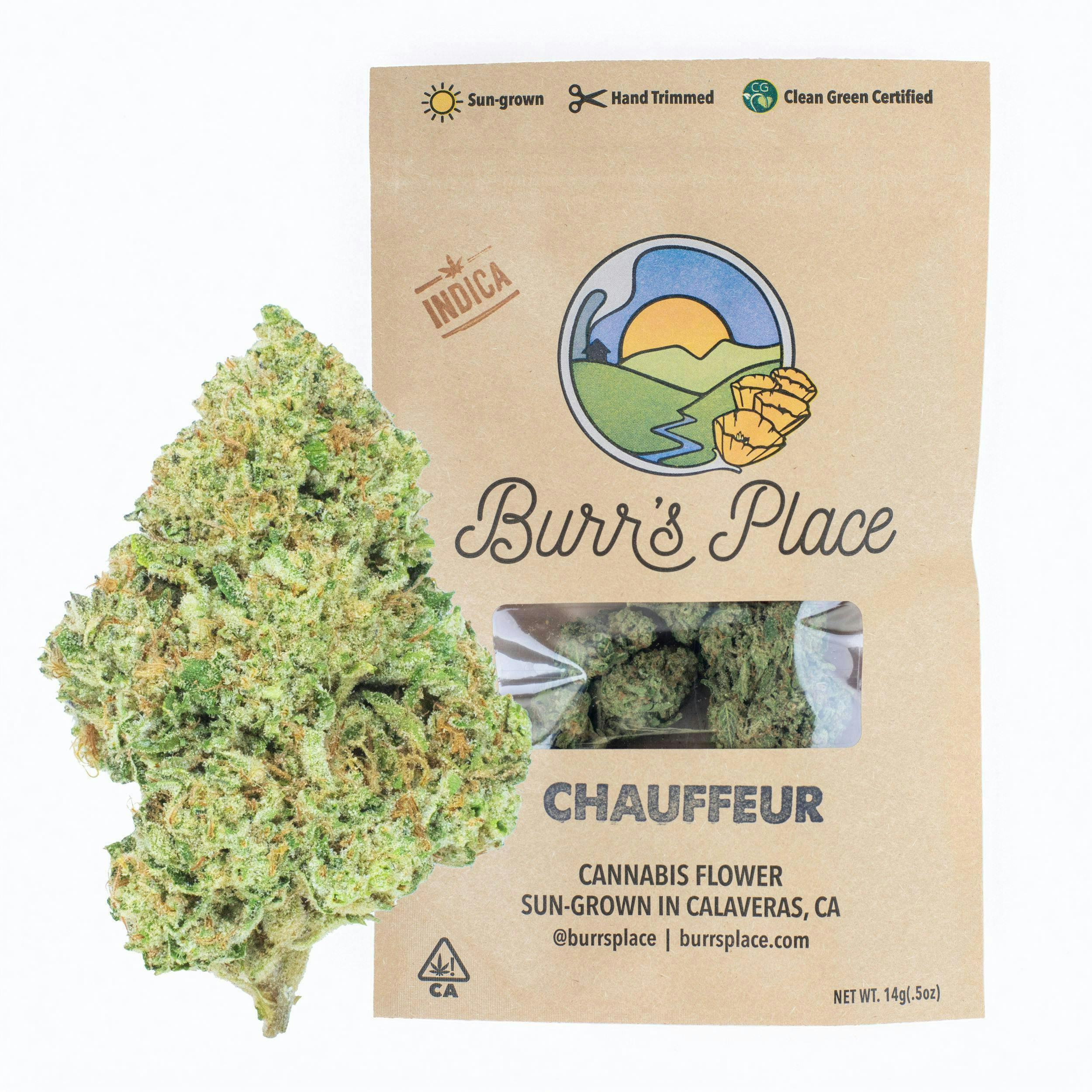 Burr's Place — Chauffeur
