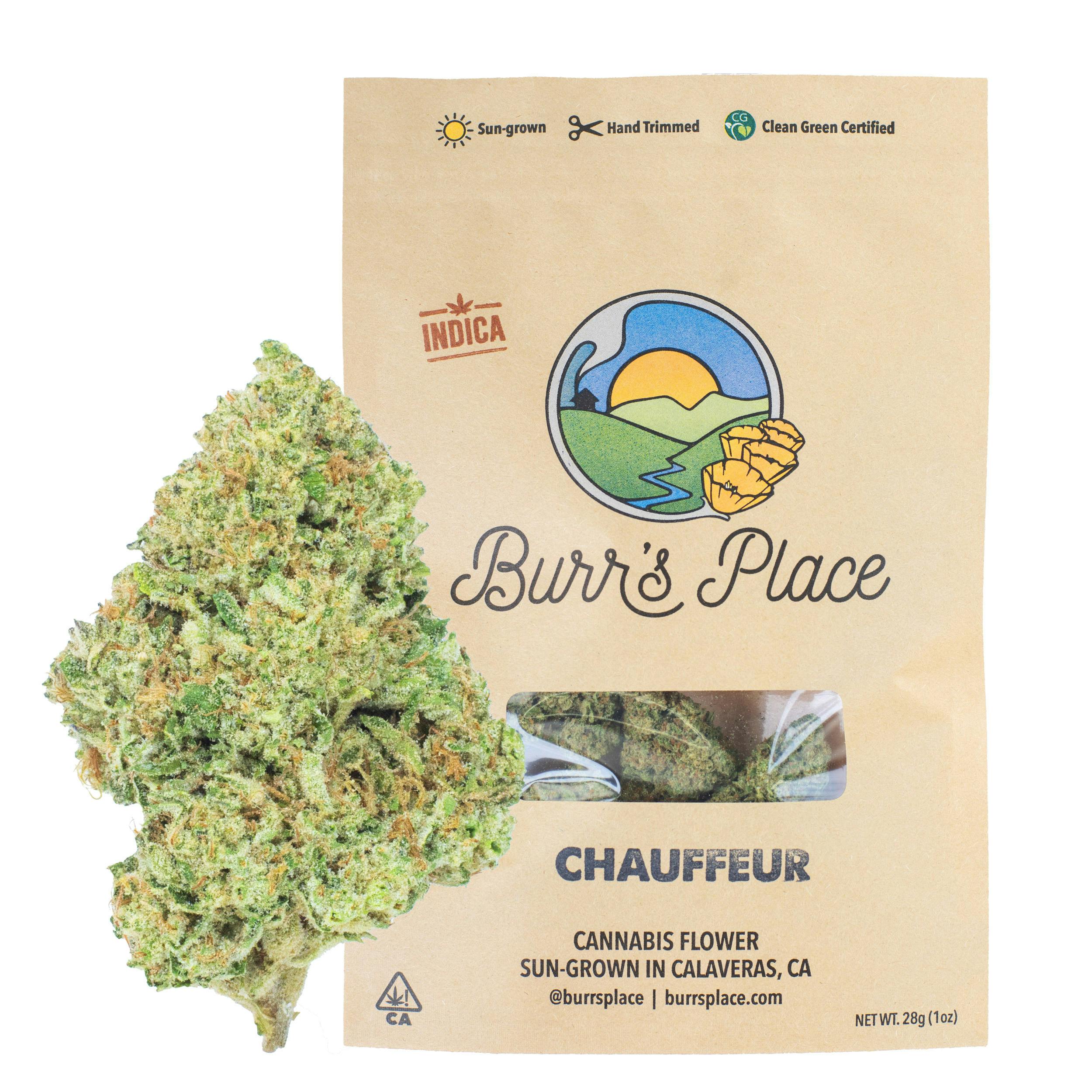 Burr Chauffeur Bag Indica
